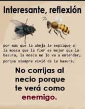 no corrijas al necio porque te vera como enemigo.jpg